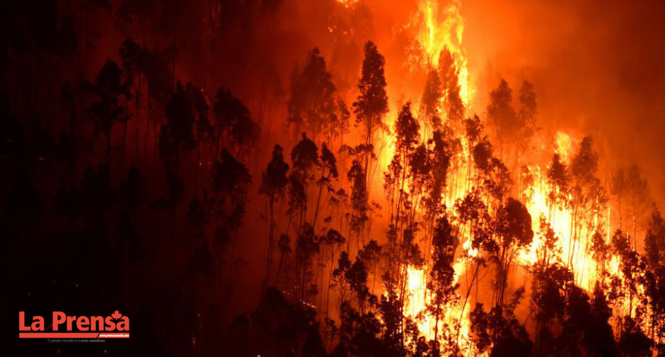 Incendio Portugal