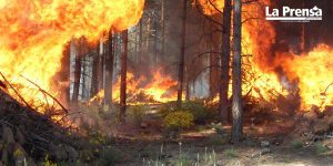 istema para predecir incendios forestales de Alberta