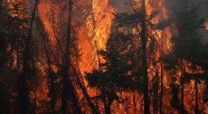 Incendio forestal en Waterton