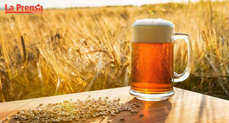 Industria cervecera artesanal enfrenta menos restricciones