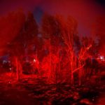 Zonas arrasadas por las llamas. Fuente AFP