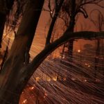 El incendio quemó 12.500 hectáreas en sus primeras 10 horas. Fuente EFE