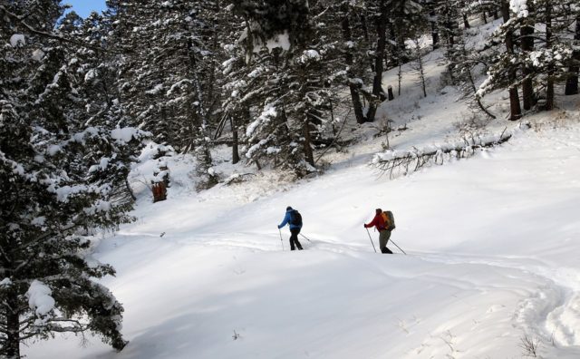 Rescatan a esquiadores españoles tras cuatro días perdidos en las montañas de B.C.