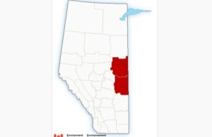 Alerta de lluvia helada para zonas del centro de Alberta
