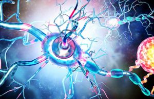 Health Canada aprueba el uso de Ocrevus en pacientes con esclerosis múltiple Health Canada aprueba el uso de Ocrevus en pacientes con esclerosis múltiple