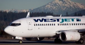 WestJet se disculpa por pedirle a los clientes que “graben” a sus asistentes de vuelo