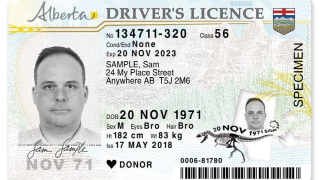 Nuevas características de seguridad en el rediseño de licencias de conducir de Alberta
