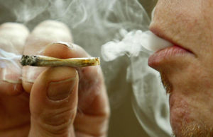 Edmonton prohíbe fumar tabaco y cannabis en la mayoría de los parques Edmonton prohíbe fumar tabaco y cannabis en la mayoría de los parques