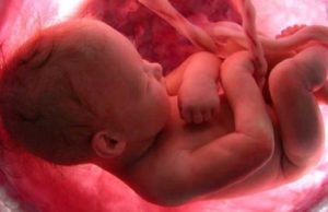 Científicos de Alberta podrían haber descubierto un método para detectar muerte fetal Científicos de Alberta podrían haber descubierto un método para detectar muerte fetal