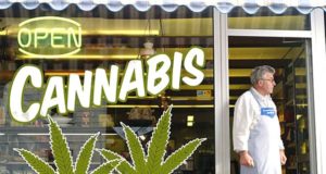 Calgary comienza a evaluar solicitudes para tiendas de marihuana