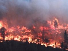 28,000 hectáreas arden en llamas en el norte de British Columbia