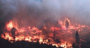 28,000 hectáreas arden en llamas en el norte de British Columbia