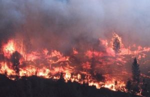 28,000 hectáreas arden en llamas en el norte de British Columbia