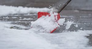 Tormenta de nieve podría arrojar 15 cm en varias zonas de Alberta