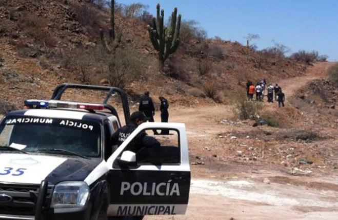 Policía mexicana encuentra 7 cabezas cercenadas en una hielera a la orilla del camino en Sonora