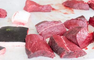 Nueva guía de alimentos de Canadá incluye ballenas, focas y bayas