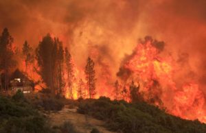 Alberta se prepara para la temporada de incendios forestales