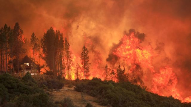 Alberta se prepara para la temporada de incendios forestales