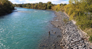 Agregan cinco puntos de acceso al río Bow para la pesca