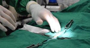 Veterinarios de Alberta votan a favor de prohibir procedimientos quirúrgicos innecesarios