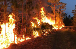 Bomberos de otras provincias llegan para ayudar a luchar contra los incendios forestales en Alberta