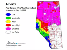 Crece preocupación en Alberta por recientes incendios forestales