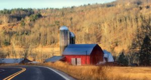 Tasa de delincuencia rural de Alberta es un 38% más alta que la tasa urbana en 2017