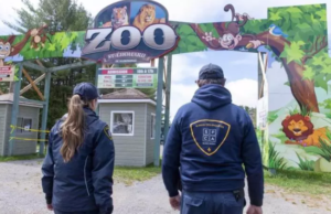 Zoológico de Quebec recibe denuncias de crueldad animal por parte de la junta de seguridad de los trabajadores