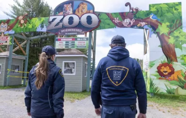 Zoológico de Quebec recibe denuncias de crueldad animal por parte de la junta de seguridad de los trabajadores