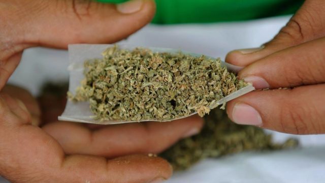 40% de los consumidores de marihuana en Canadá la adquieren ilegalmente
