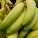 bananos frutas platanos cambur